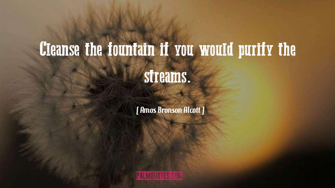 Amos Bronson Alcott Quotes: Cleanse the fountain if you