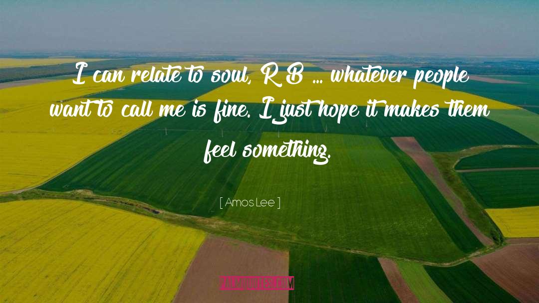 Amos Lee Quotes: I can relate to soul,