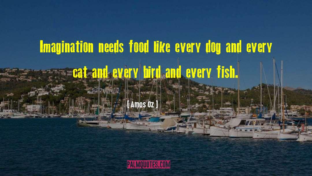 Amos Oz Quotes: Imagination needs food like every