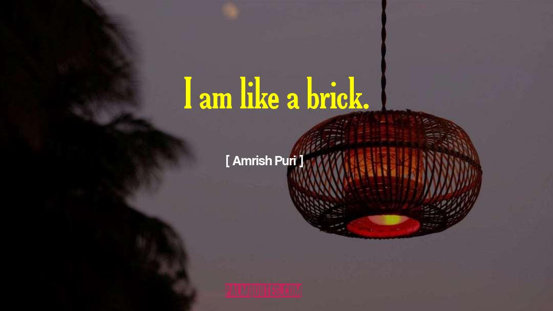 Amrish Puri Quotes: I am like a brick.