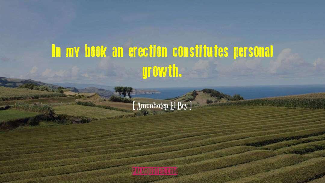 Amunhotep El Bey Quotes: In my book an erection