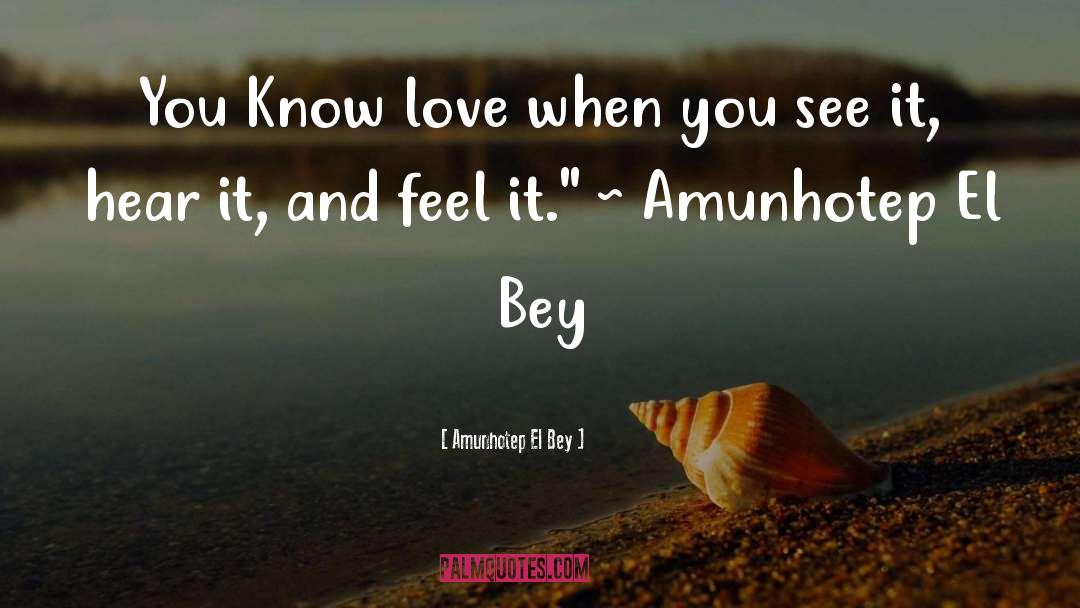 Amunhotep El Bey Quotes: You Know love when you