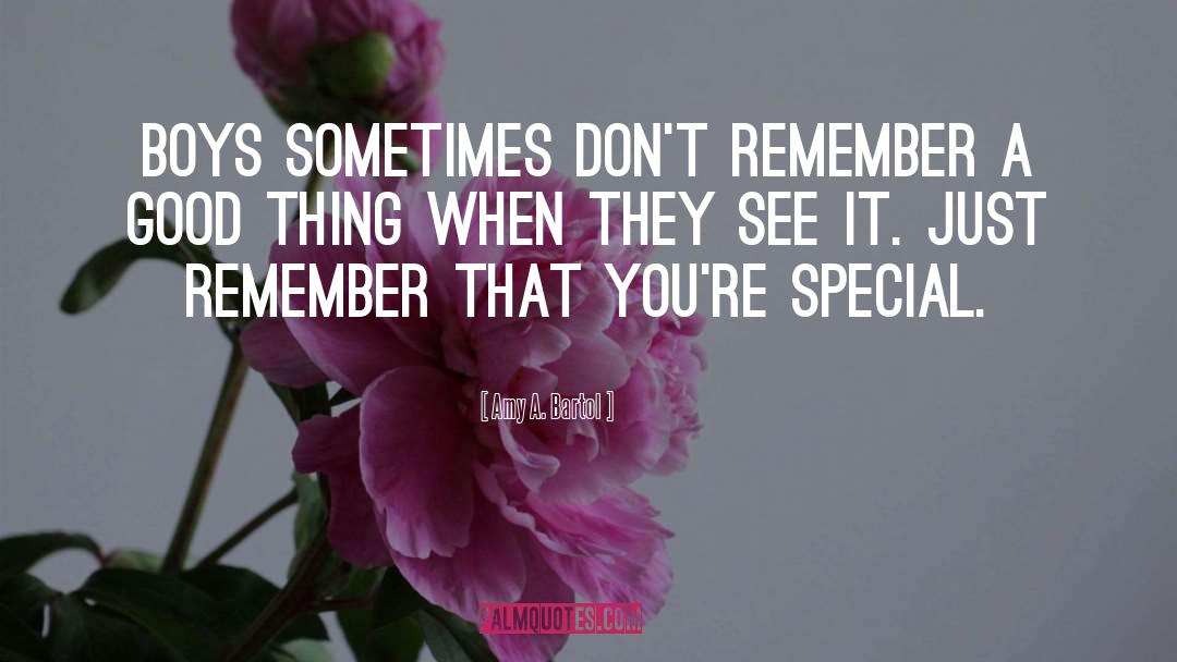 Amy A. Bartol Quotes: Boys sometimes don't remember a