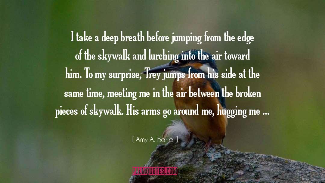 Amy A. Bartol Quotes: I take a deep breath