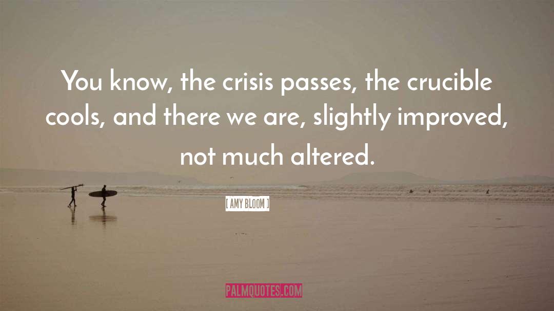 Amy Bloom Quotes: You know, the crisis passes,