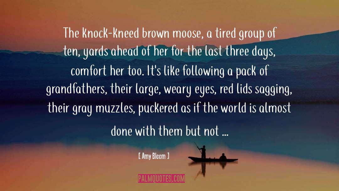 Amy Bloom Quotes: The knock-kneed brown moose, a