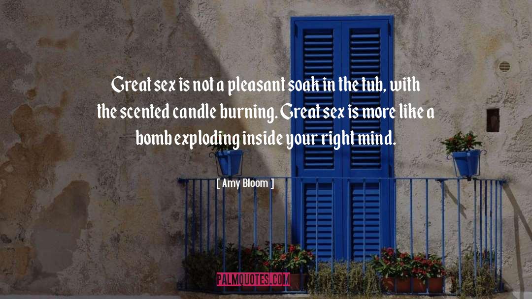 Amy Bloom Quotes: Great sex is not a