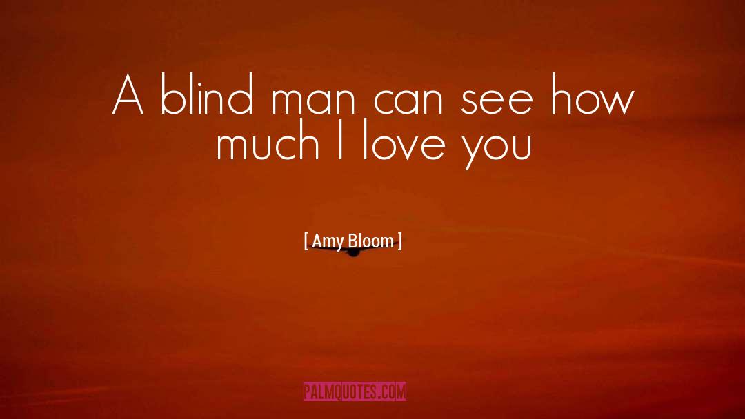 Amy Bloom Quotes: A blind man can see