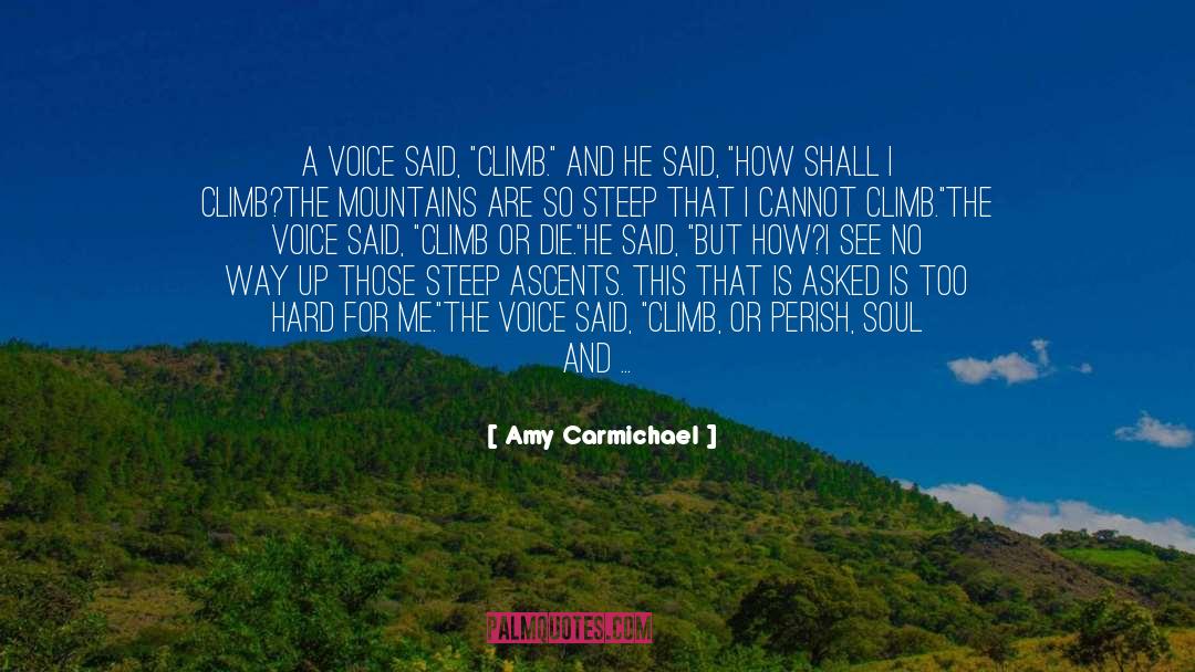 Amy Carmichael Quotes: A voice said, 