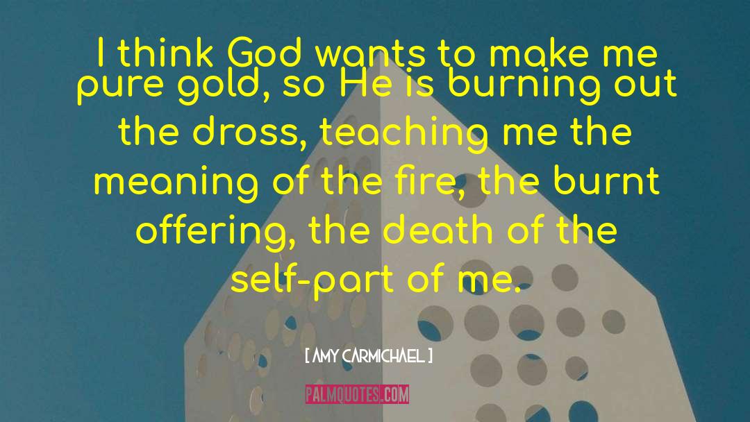 Amy Carmichael Quotes: I think God wants to