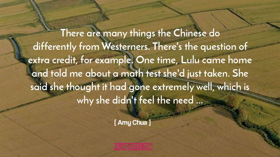 Amy Chua Quotes: There are many things the