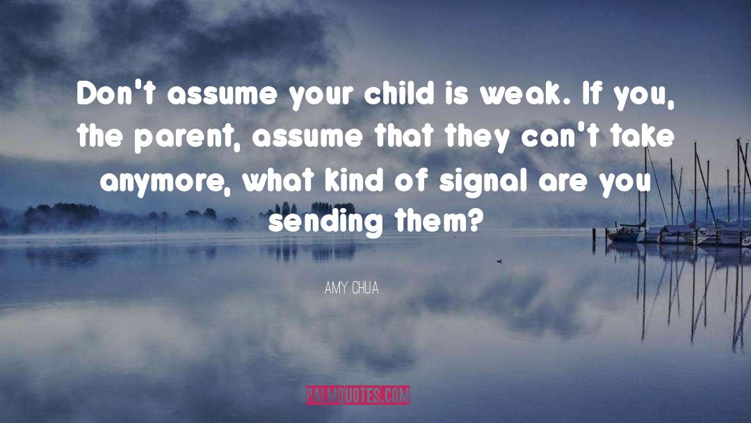 Amy Chua Quotes: Don't assume your child is