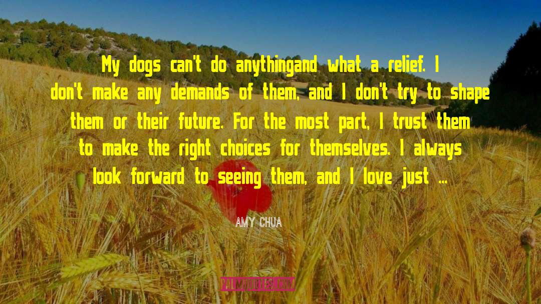 Amy Chua Quotes: My dogs can't do anything<br>and