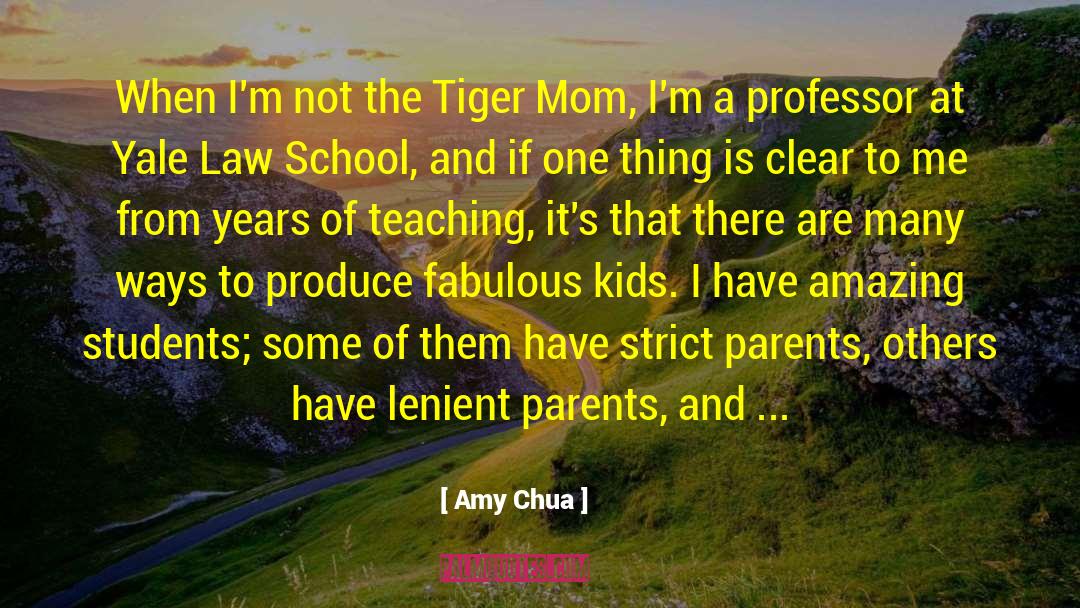 Amy Chua Quotes: When I'm not the Tiger