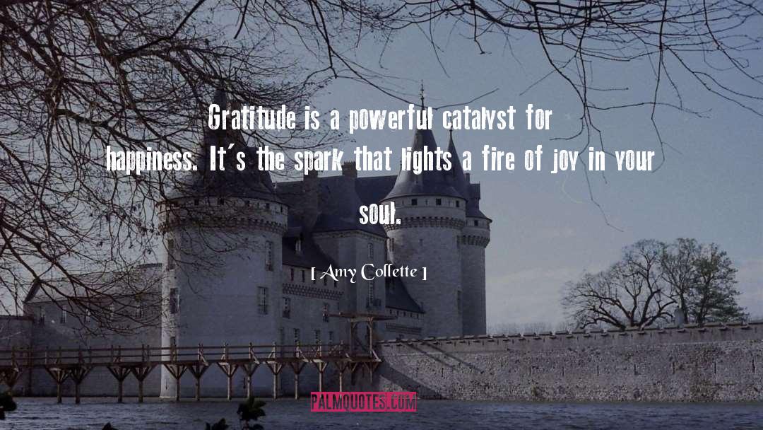 Amy Collette Quotes: Gratitude is a powerful catalyst