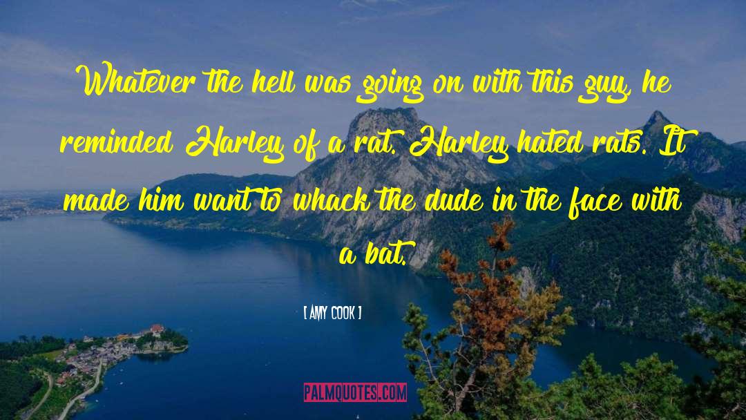 Amy Cook Quotes: Whatever the hell was going