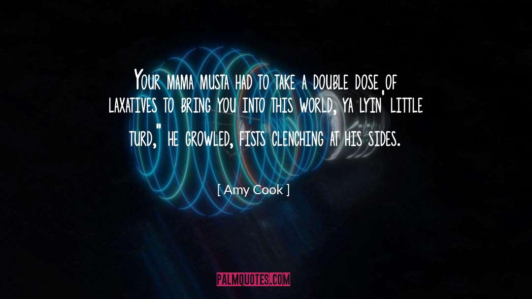 Amy Cook Quotes: Your mama musta had to