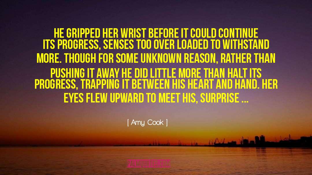 Amy Cook Quotes: He gripped her wrist before