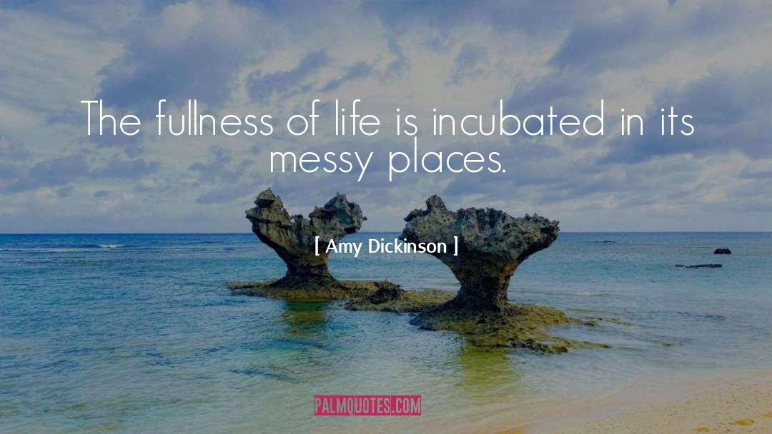 Amy Dickinson Quotes: The fullness of life is