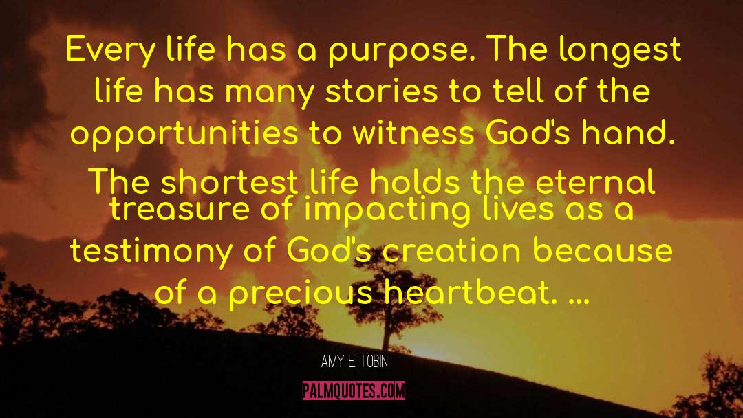 Amy E. Tobin Quotes: Every life has a purpose.