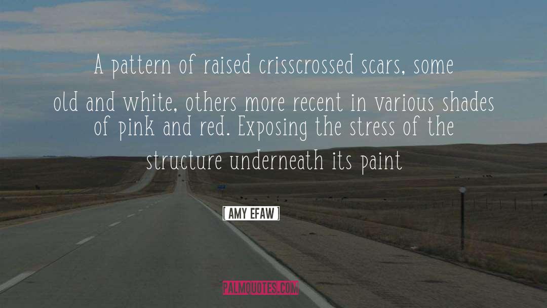 Amy Efaw Quotes: A pattern of raised crisscrossed