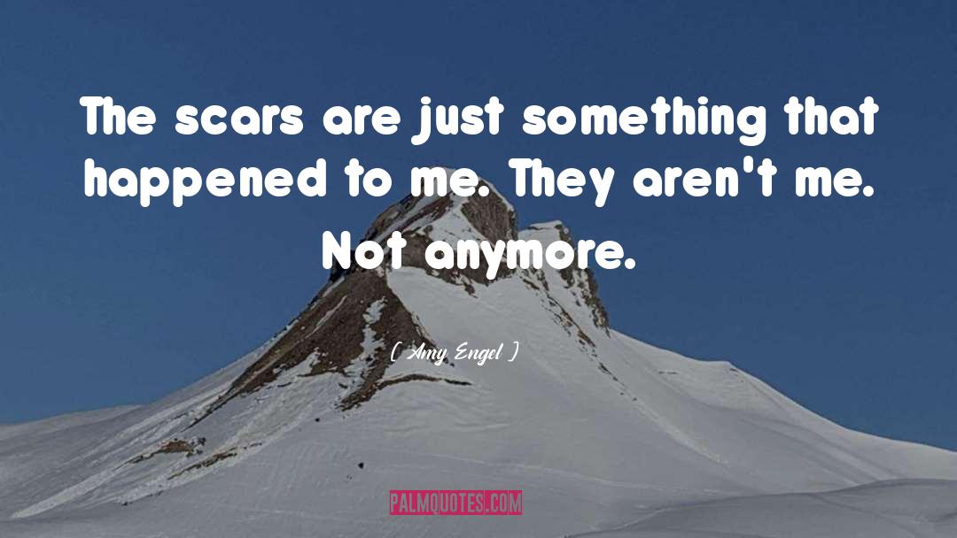 Amy Engel Quotes: The scars are just something