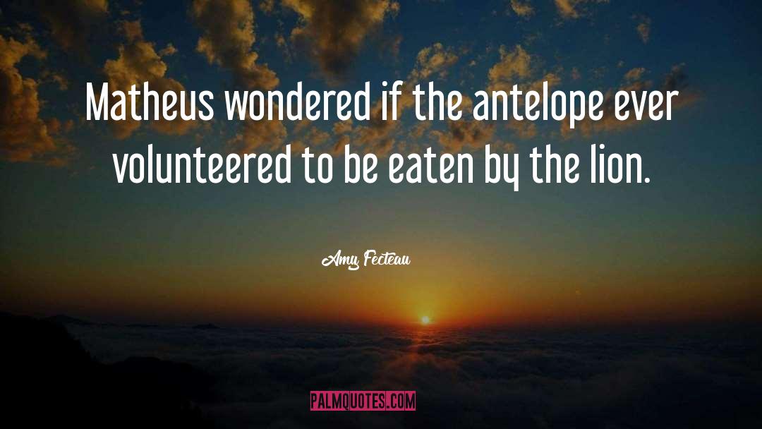 Amy Fecteau Quotes: Matheus wondered if the antelope