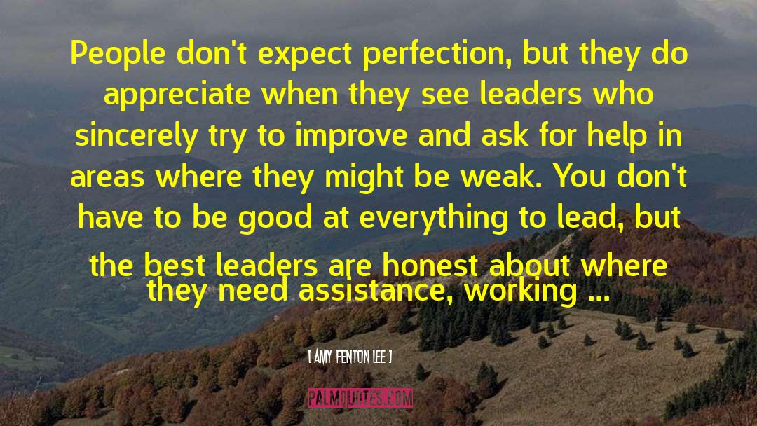 Amy Fenton Lee Quotes: People don't expect perfection, but
