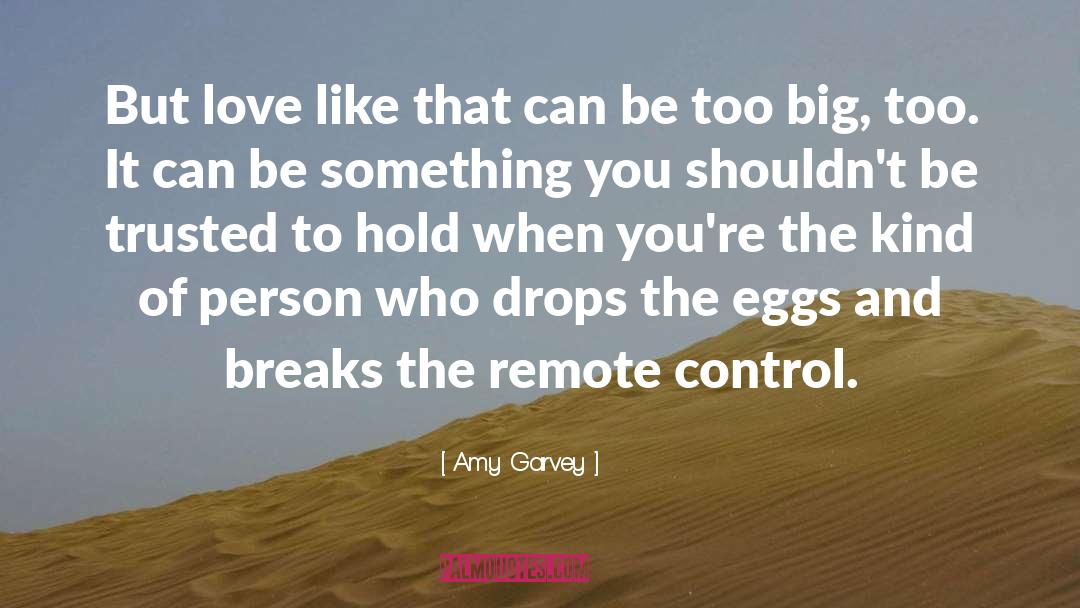 Amy Garvey Quotes: But love like that can