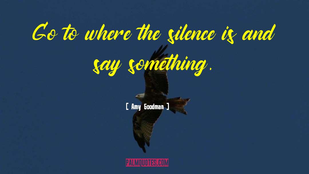 Amy Goodman Quotes: Go to where the silence