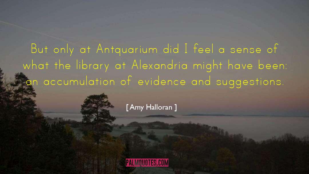 Amy Halloran Quotes: But only at Antquarium did