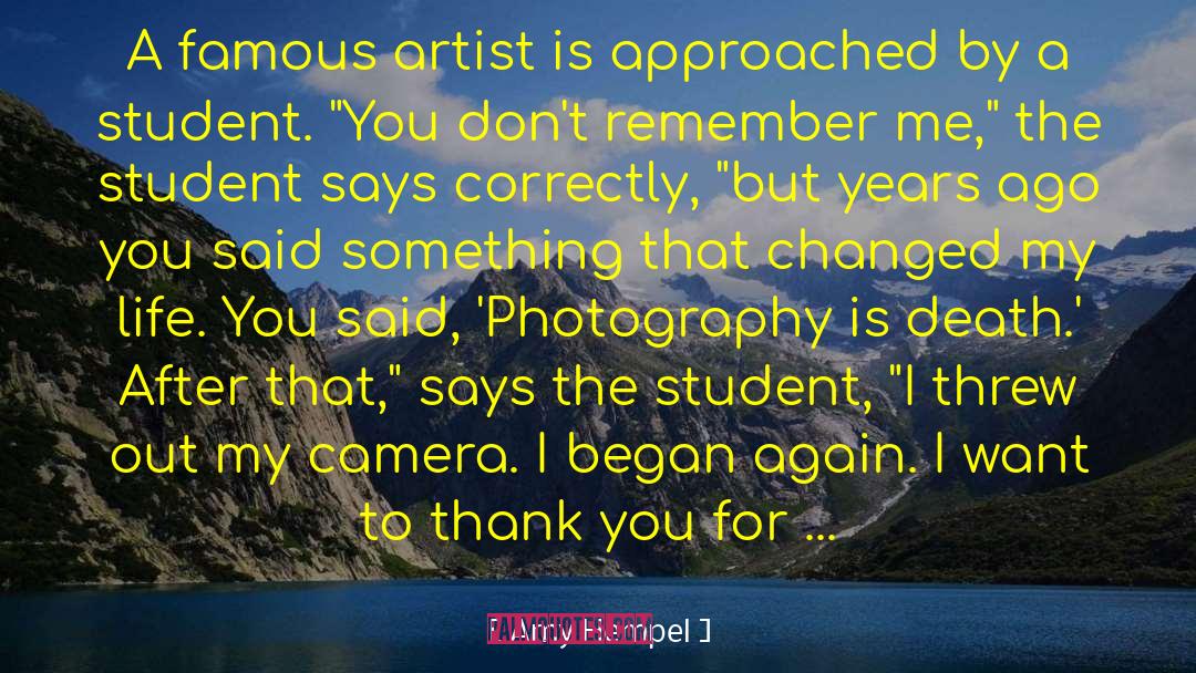 Amy Hempel Quotes: A famous artist is approached