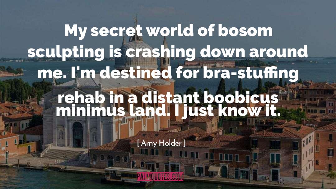 Amy Holder Quotes: My secret world of bosom