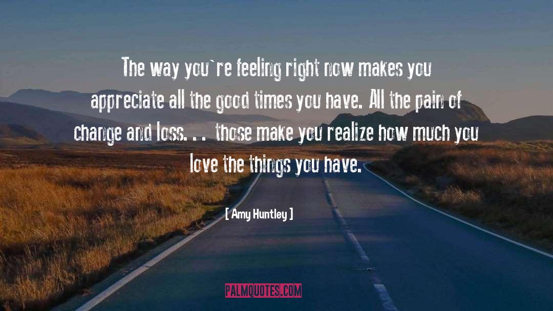 Amy Huntley Quotes: The way you're feeling right