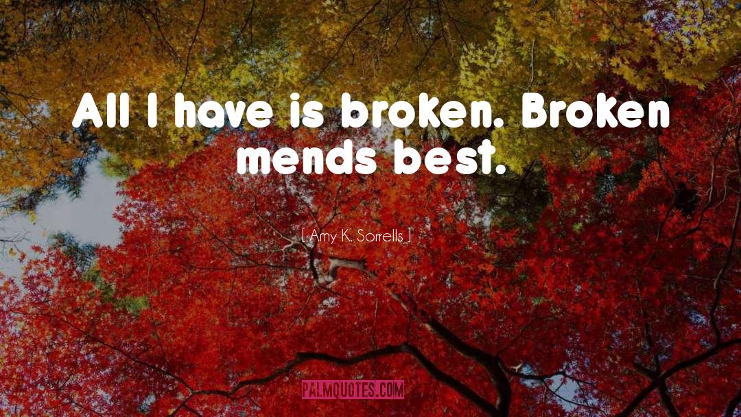 Amy K. Sorrells Quotes: All I have is broken.