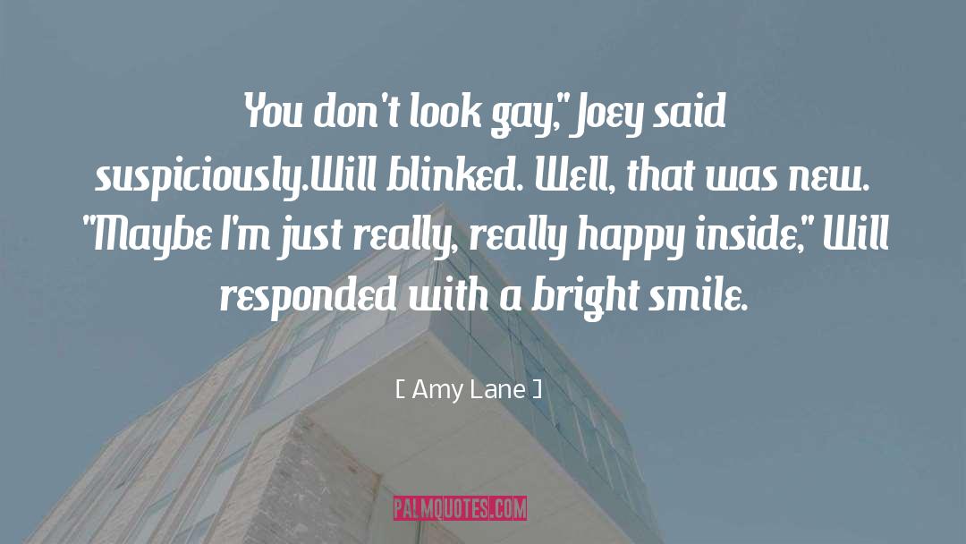 Amy Lane Quotes: You don't look gay,