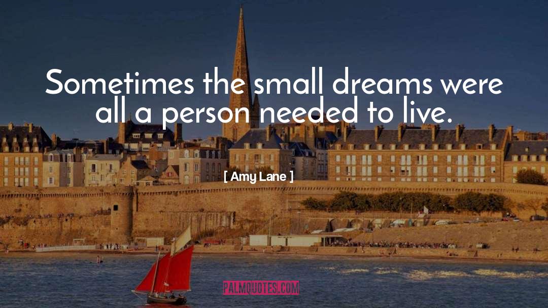 Amy Lane Quotes: Sometimes the small dreams were