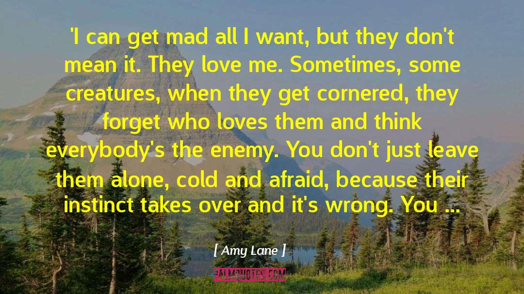 Amy Lane Quotes: 'I can get mad all