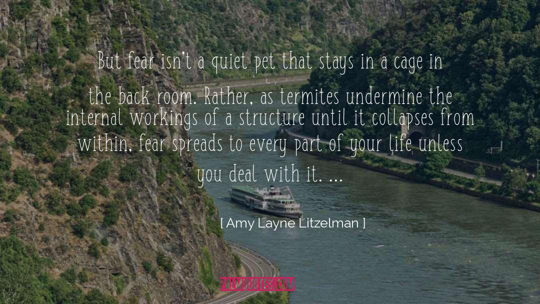Amy Layne Litzelman Quotes: But fear isn't a quiet