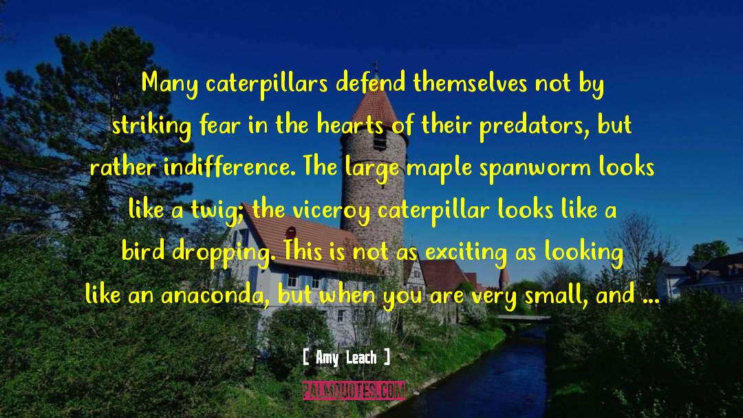 Amy Leach Quotes: Many caterpillars defend themselves not