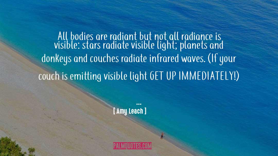 Amy Leach Quotes: All bodies are radiant but