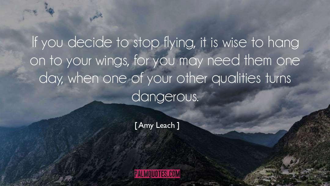 Amy Leach Quotes: If you decide to stop