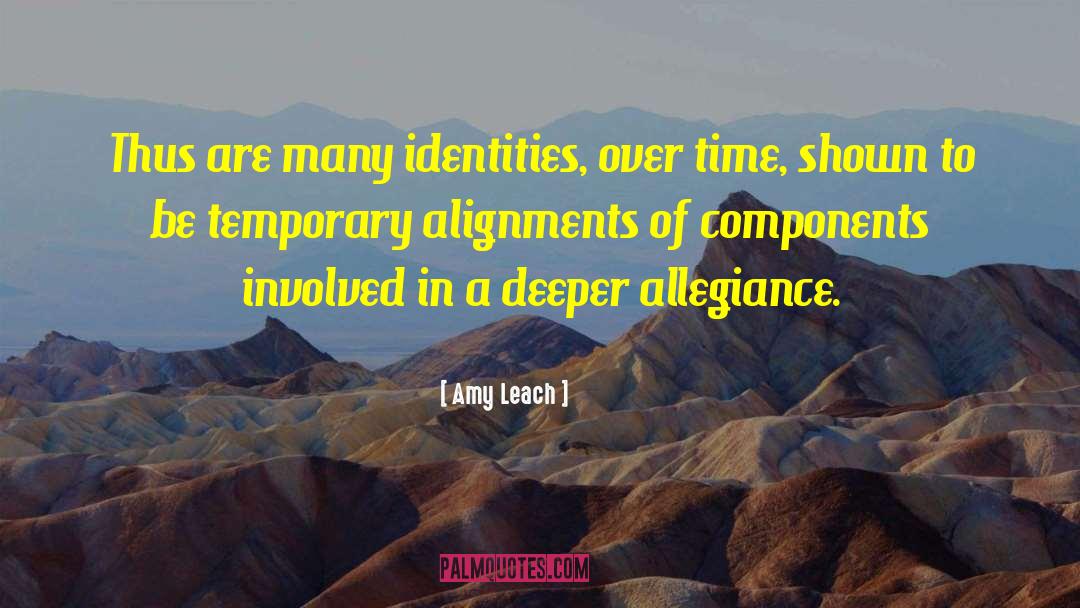 Amy Leach Quotes: Thus are many identities, over