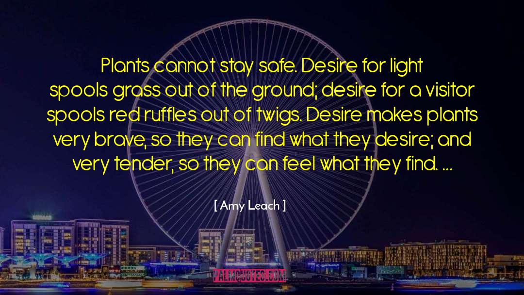 Amy Leach Quotes: Plants cannot stay safe. Desire