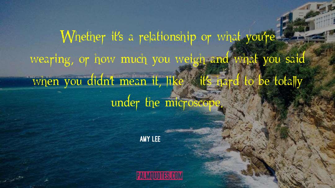 Amy Lee Quotes: Whether it's a relationship or