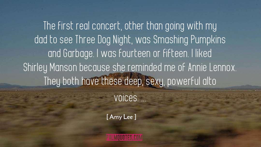 Amy Lee Quotes: The first real concert, other