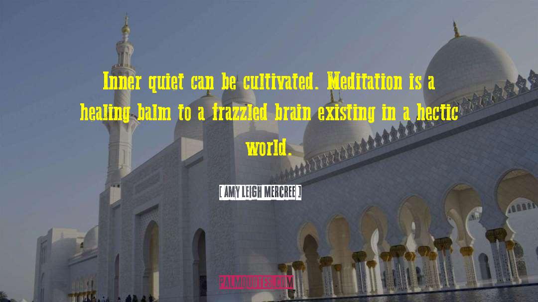 Amy Leigh Mercree Quotes: Inner quiet can be cultivated.