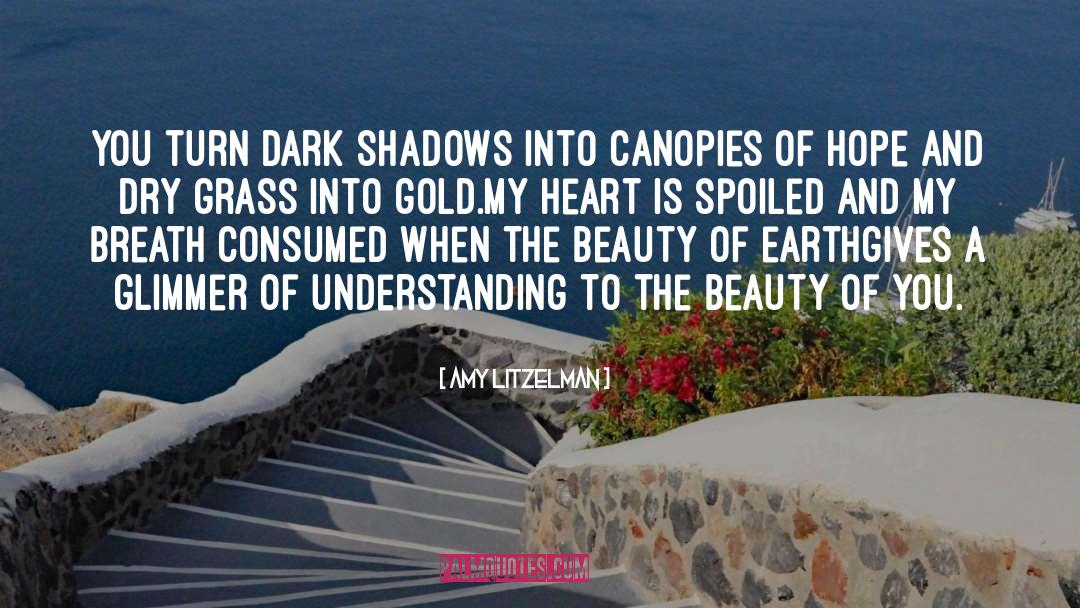 Amy Litzelman Quotes: You turn dark shadows into