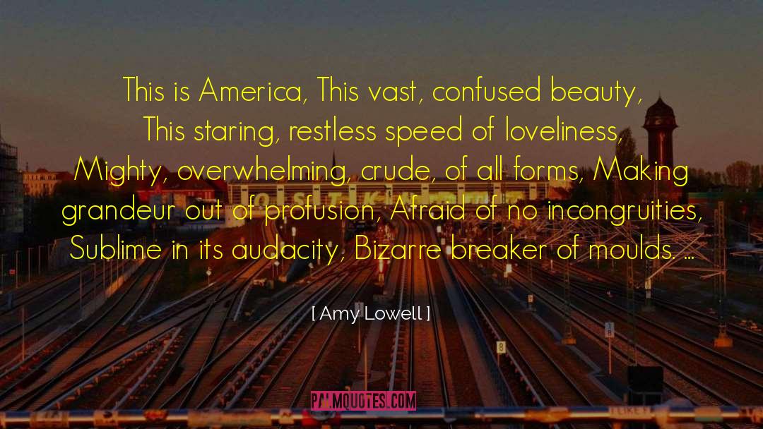 Amy Lowell Quotes: This is America, This vast,
