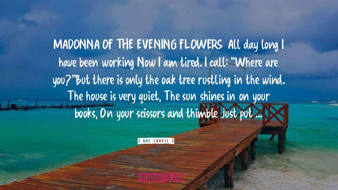 Amy Lowell Quotes: MADONNA OF THE EVENING FLOWERS